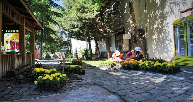Beypazarı rengarenk 