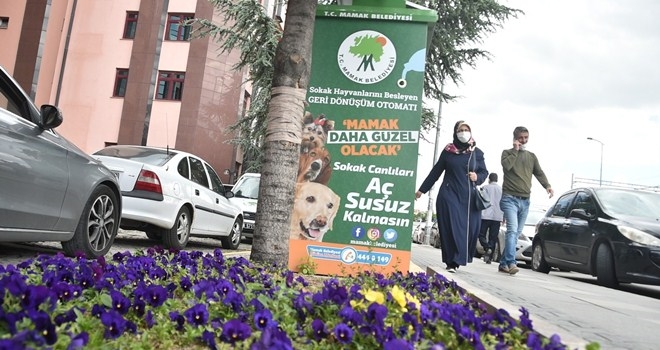 Plastik şişeye kalem ve mama