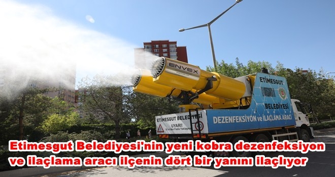 HEM KORONAVİRÜS HEM DE SİNEKLE MÜCADELE EDİYOR