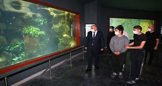 TELEFERİK VE DENİZ DÜNYASI BAYRAM BOYUNCA ÜCRETSİZ