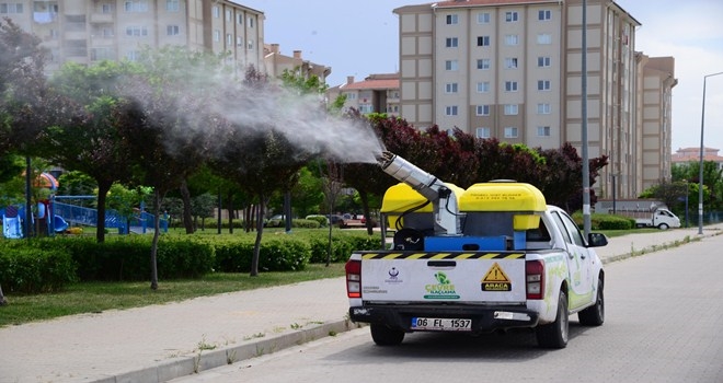Haşere avcıları iş başında