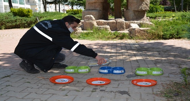 Can dostlarımız susuz ve aç bırakılmıyor