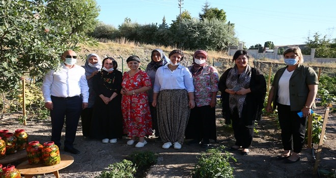 KIŞLIK TURŞU VE KURUTMALIKLAR BELEDİYE BOSTANINDAN 