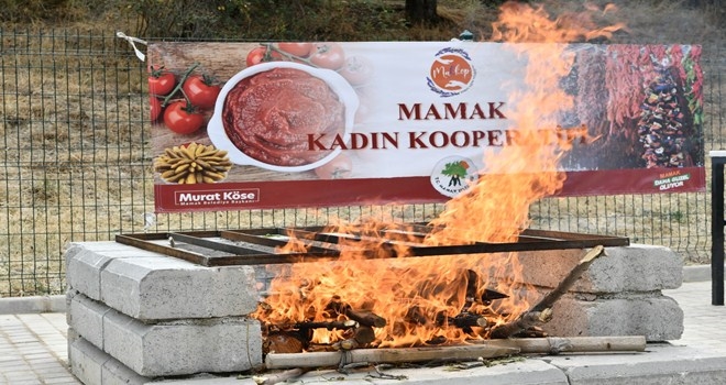 Mamaklı kadınların salça mesaisi