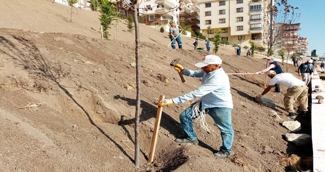 KEÇİÖREN´DE HERKESİN DİKİLİ AĞACI OLACAK