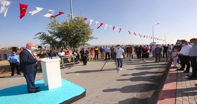 300 ağaç toprakla buluştu