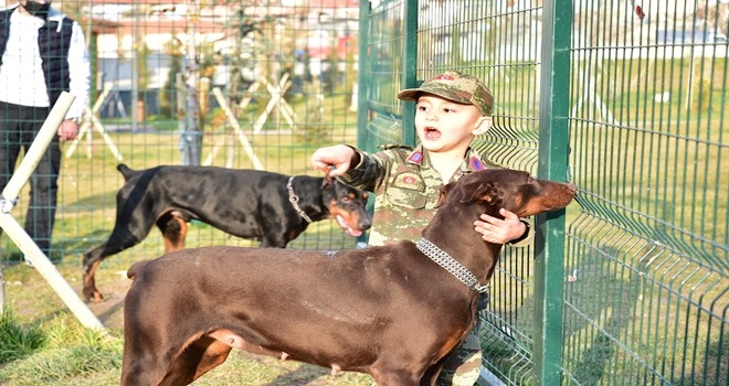 Bu park yalnızca köpeklerin