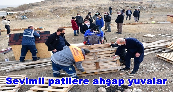 Bir çivi, bir keser, bir tahta mutluluğa yeter
