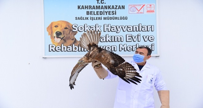 Magandalar vurdu, ekipler yaşama döndürdü