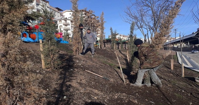 KEÇİÖREN HER MEVSİM AĞAÇLANDIRILIYOR 