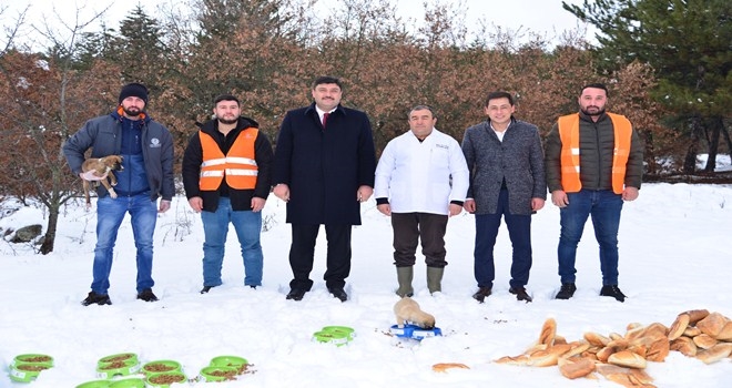 Can dostlarımız Kahramankazan´da emin ellerde