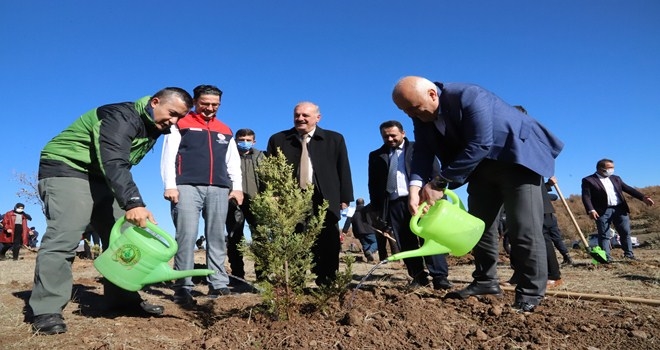 Kızılcahamam´da 2400 Fidan Toprakla Buluştu