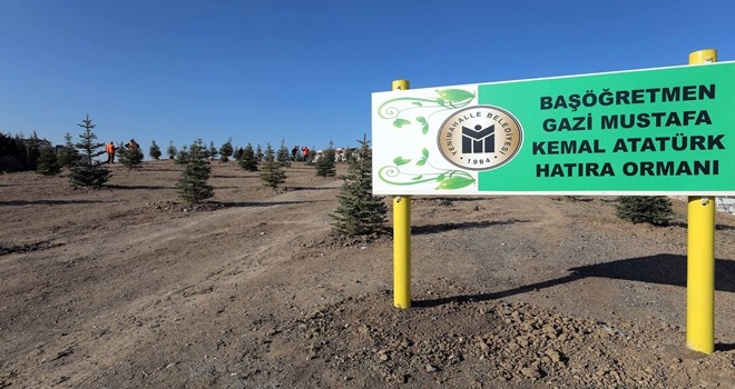 Bin 500 ağaç toprakla buluştu