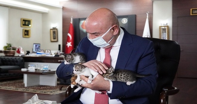 ?AİLEM OLUR MUSUN?´ SICAK YUVA BULUYOR