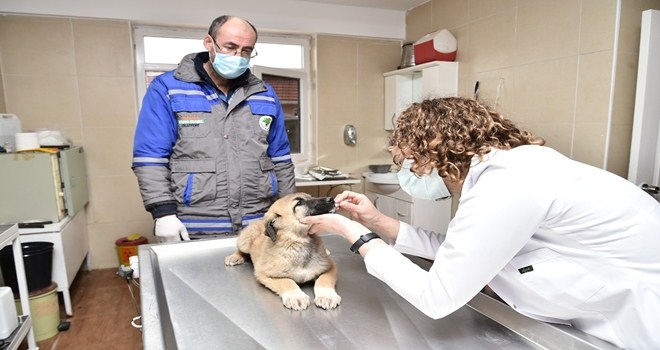 2021 yılı boyunca 12 bin 372  adet aşı işlemi uyguladı 