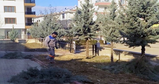 Sincan´da Yüz yüze Eğitim Öncesi  Okul Çevresindeki Ağaçlar Budandı