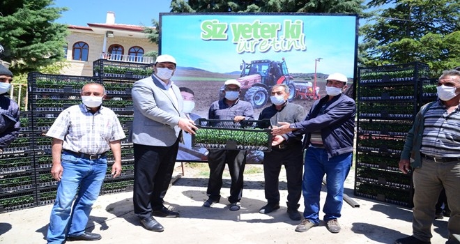 Çiftçilere 1 milyon 100 bin sebze fidesi 