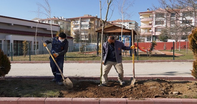 KEÇİÖREN´DEKİ AĞAÇLAR ÖĞRENCİLERE EMANET