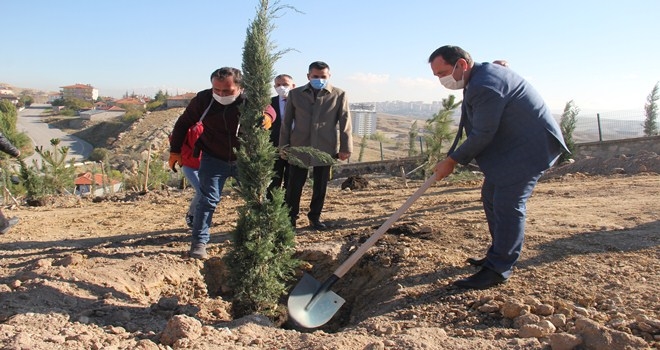 2009´DAN BUGÜNE 5 KAT DAHA YEŞİL