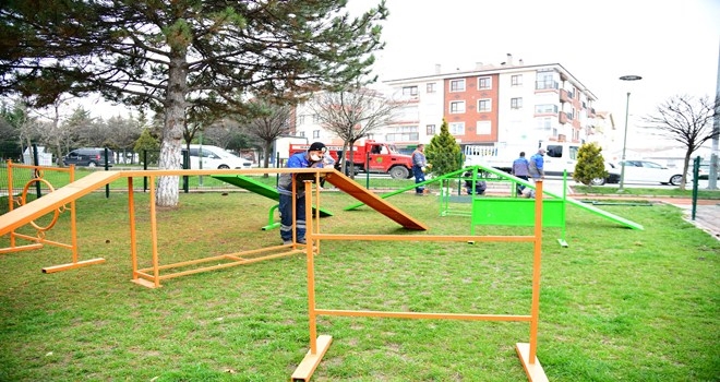 Köpek Parkı´nın Sayıları Artıyor