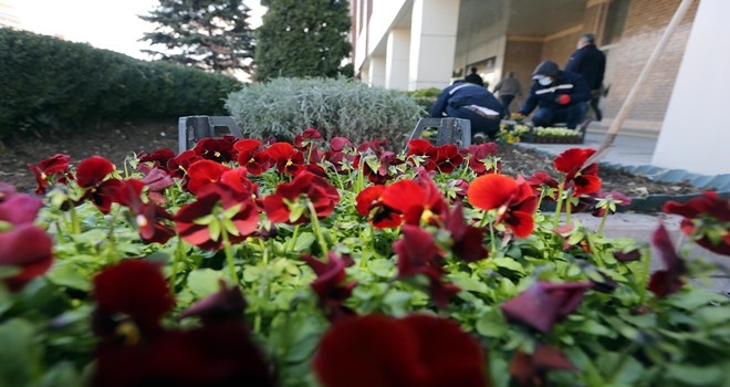 402 bin çiçek toprakla buluşacak