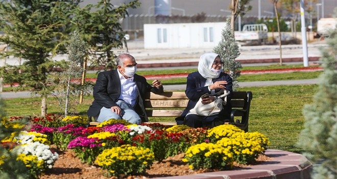 Yenimahalle parklarına yaz çiçekleri