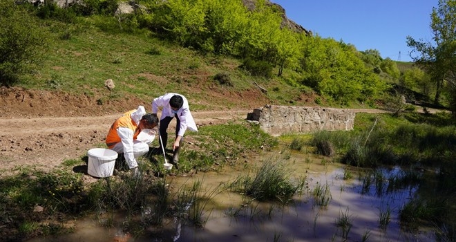 KEÇİÖREN´DE BİR İLK DOĞA DOSTU LARVASİT UYGULAMASI BAŞLADI