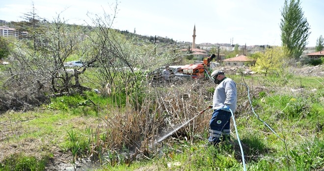 Mamak Belediyesi´nden haşere ile mücadele