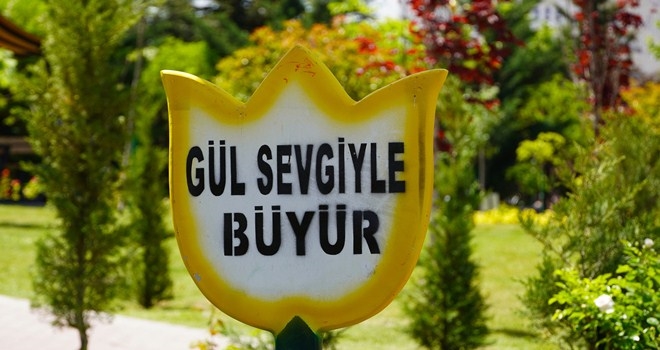 GÜL SEVGİYLE BÜYÜR