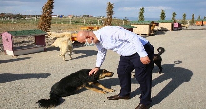 BAŞKAN ALTINOK´TAN CAN DOSTLARA YAKIN İLGİ