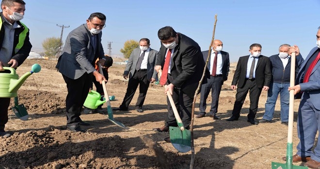 3 bin 500 meyve ağacı daha toprakla buluşturuldu