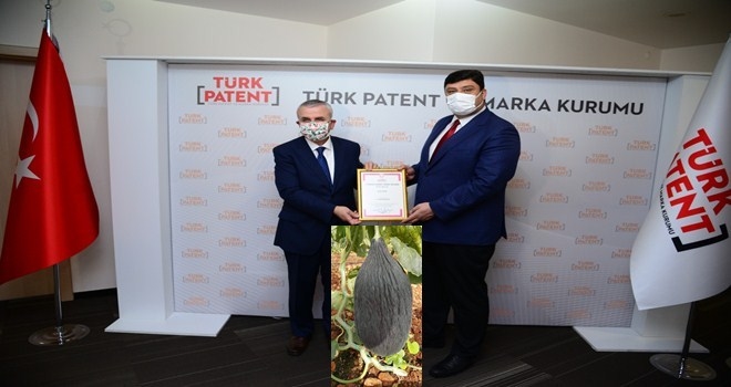 Meşhur Kazan Kavunu´na coğrafi işaret tescili