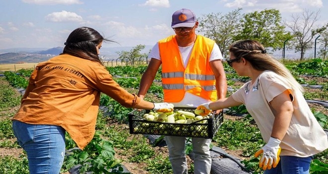 KEÇİÖREN´DEKİ YAZ BOSTANINDA TURFANDA MUTLULUĞU 