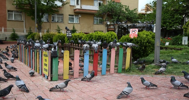 KEÇİÖREN´DE RENGÂRENK KUŞ BESLEME NOKTASI 