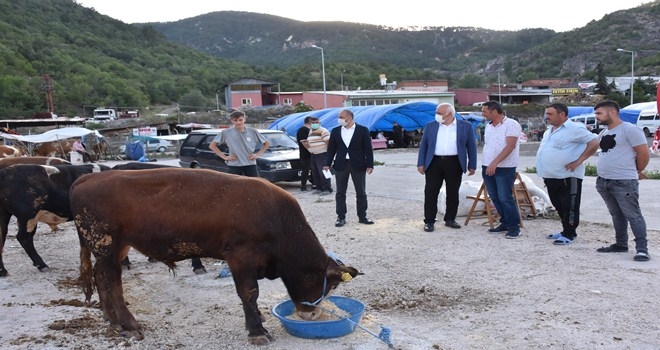 Başkan Acar, Kurban Pazarında İncelemelerde Bulundu