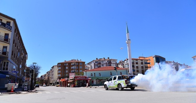 Sineksiz ve haşeresiz bir yaz için mücadele sürüyor