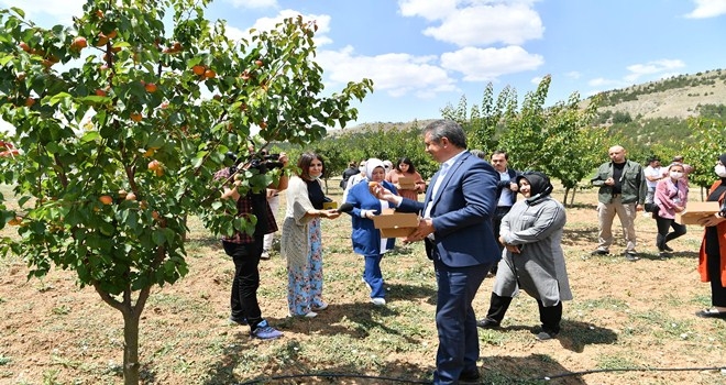 Ekolojik köyde ilk hasat Başkan Köse´den