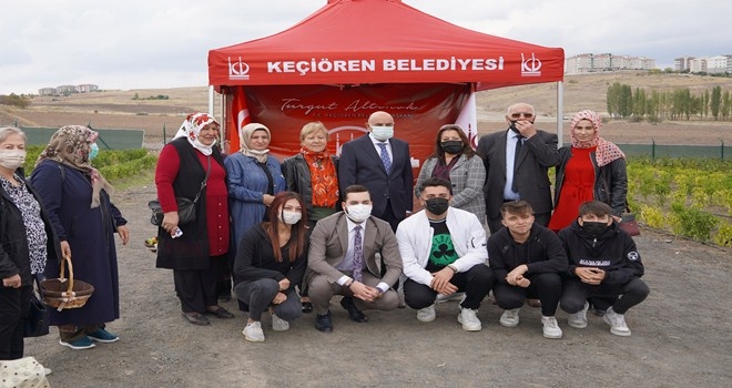 STK ÜYELERİ DOĞAL BOSTANI GEZDİ, MAHSÜL TOPLADI