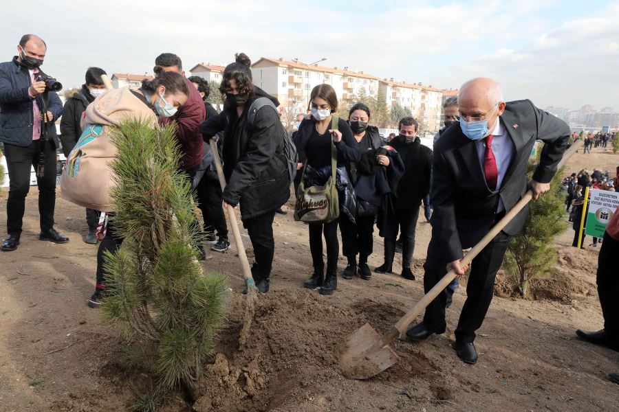 Yenimahalle’de 600 ağaç toprakla buluştu