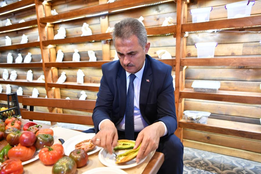 Mamak’ta Organik Tarım: Ata  Tohumları Alınmaya Başladı