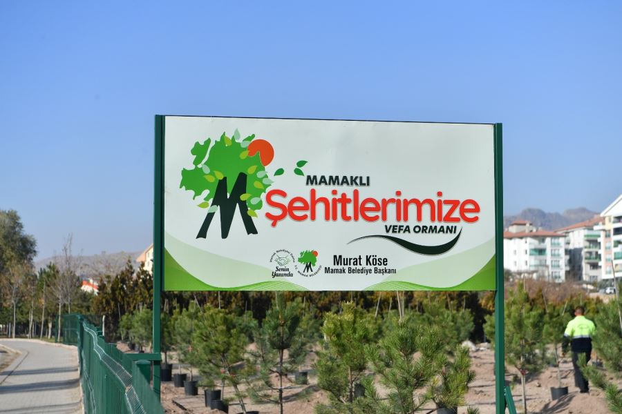 Milli Ağaçlandırma Günü’nde 25 Bin Fidan Dağıtıldı