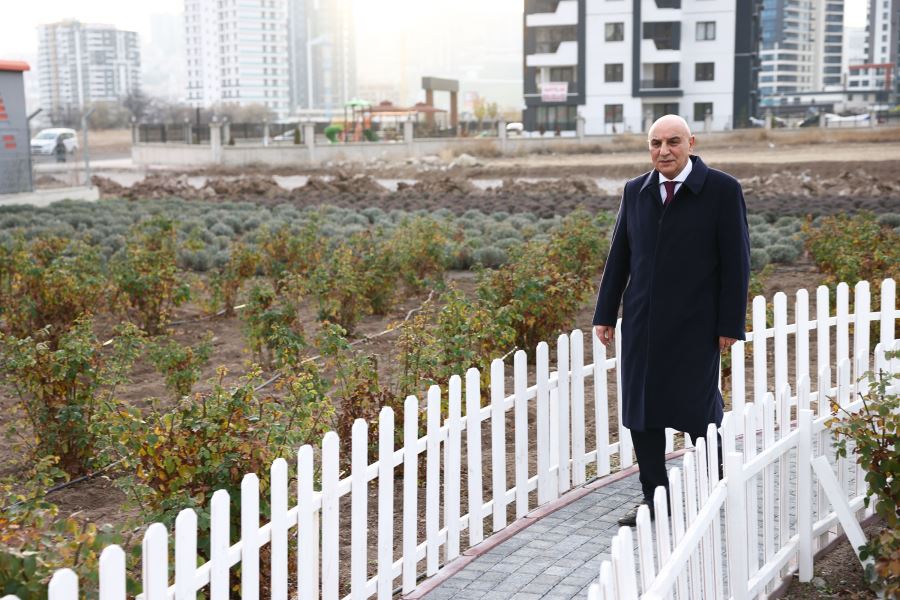 LAVANTA VE GÜL BAHÇESİ GENİŞLETİLİYOR