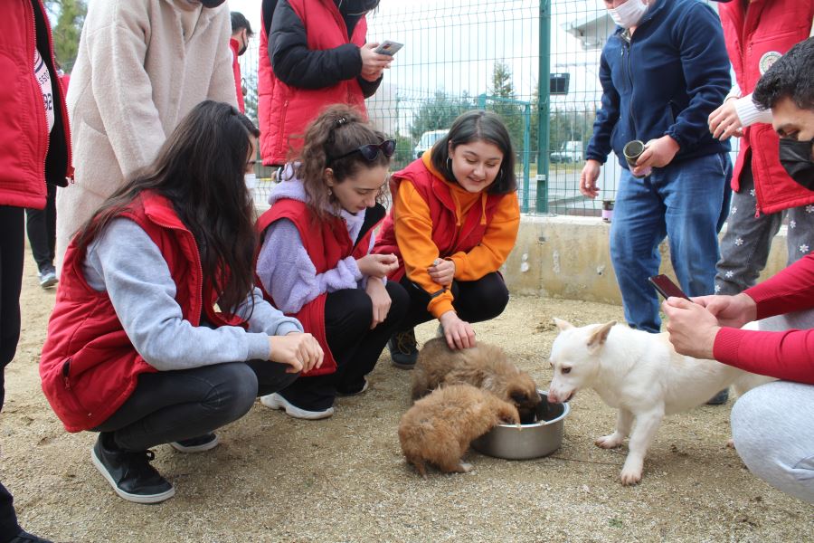 GENÇLERDEN BARINAĞA TAM NOT