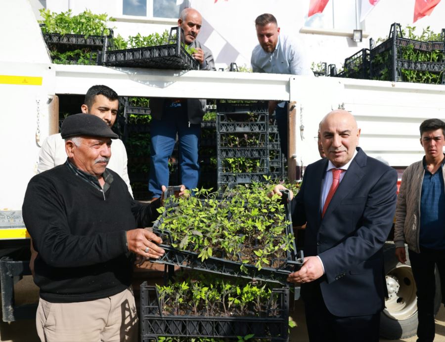 KEÇİÖREN BELEDİYESİ 4 KÖYDE  ÜCRETSİZ FİDE DAĞITTI