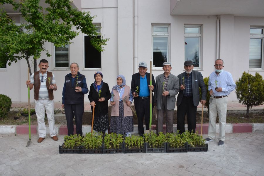 DOMATES FİDELERİ GÖNÜL KÖŞKÜ’NE DİKİLDİ