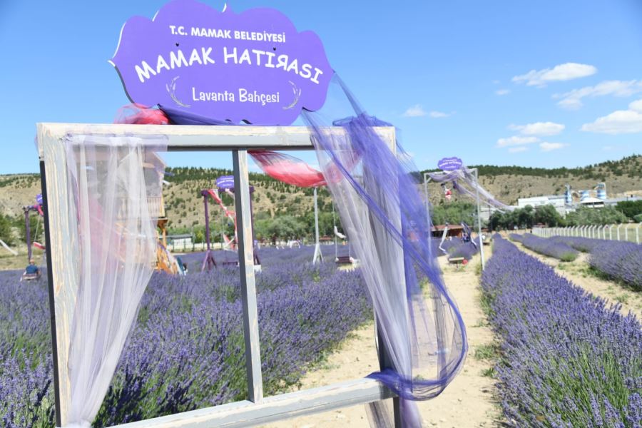 Lavanta Bahçesi’ne Ziyaretçi Akını