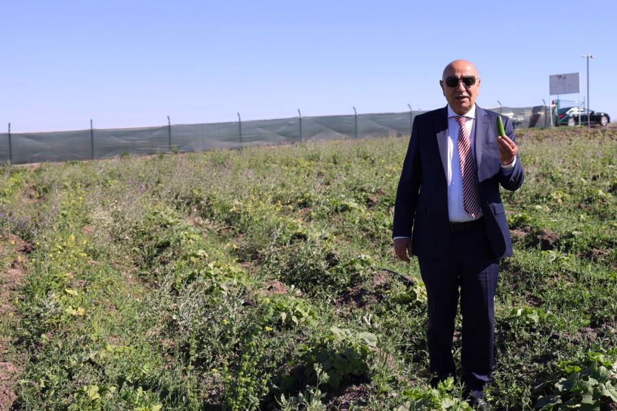KEÇİÖREN’DE MAHSULLER HASAT EDİLİYOR
