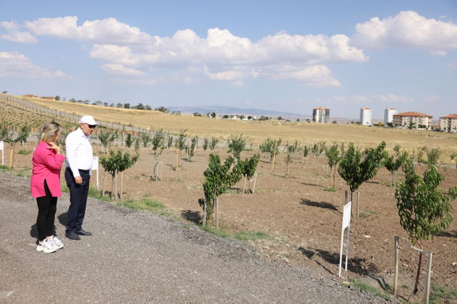 BAŞKAN ALTINOK’TAN MEYVE BAHÇESİNDE DENETİM