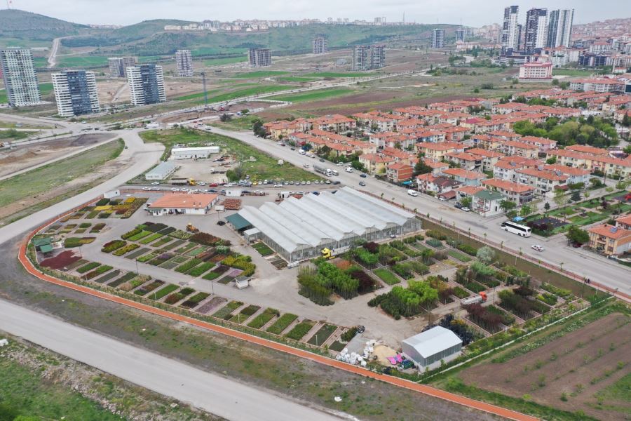 KEÇİÖREN’DEKİ AKILLI SERADA MUZ YETİŞTİRİLİYOR