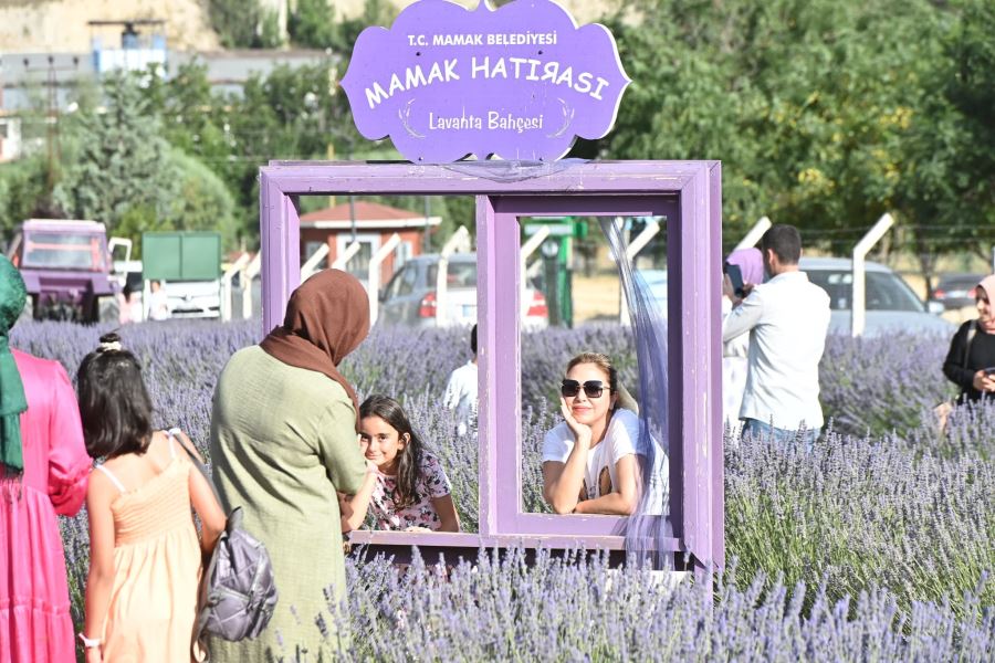 Mamak Belediyesi Lavanta Bahçesine Büyük İlgi